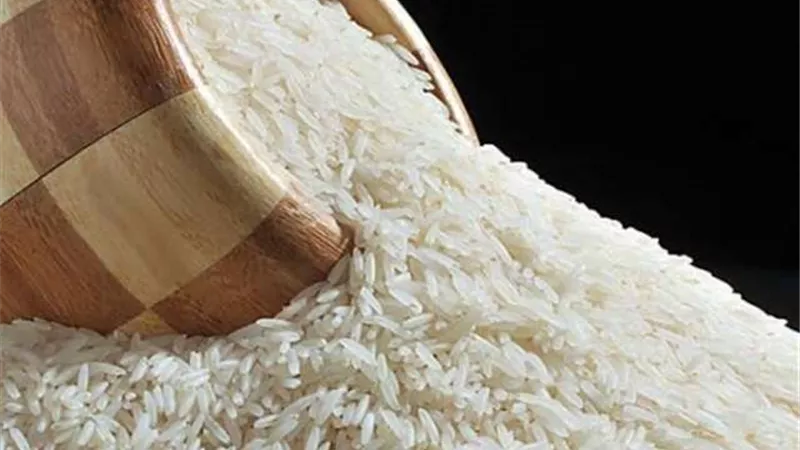 التموين: استلام 310 آلاف طن أرز شعير حتى الآن