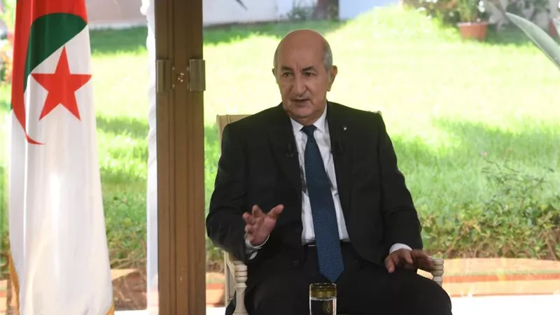 الرئيس الجزائري: نسعى دائمًا إلى احترام المواثيق الدولية