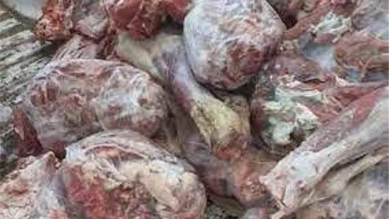 أبرزها لحوم فاسدة.. التموين: ضبط 1805 قضية متنوعة خلال 24 ساعة