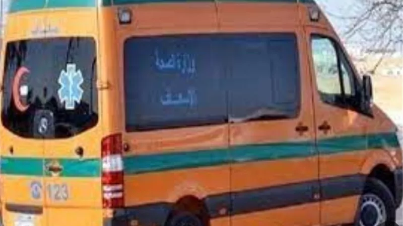 مصرع شخصين فى تصادم بالشرقية