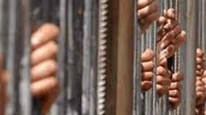 تعرف على عقوبة استخدام اسم تجارى غير مقيد