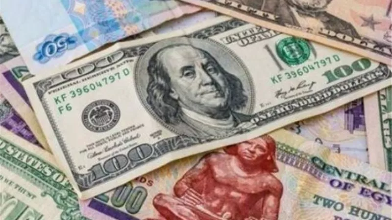 استقرار أسعار الدولار مقابل الجنيه وتراجع اليورو والإسترليني