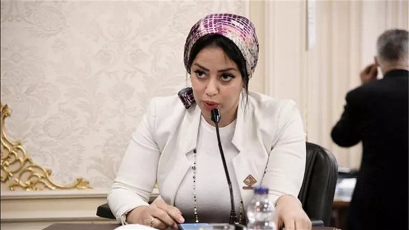 نواب البحيرة يطالبون وزير التعليم العالي بإنشاء كليات تكنولوجية