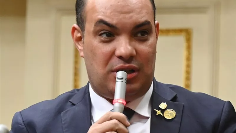 قريطم يطالب بالنظر لرؤية الحكومة فى توطين صناعة السيارات