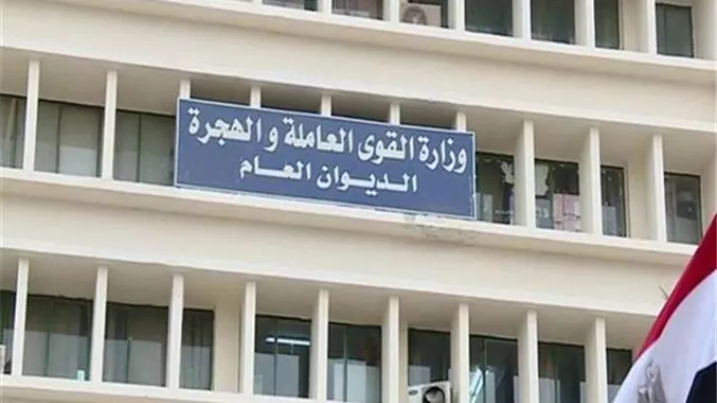 القوى العاملة: قبول طلبات 250 طبيبا وممرضا للعمل بالكويت.. الأحد