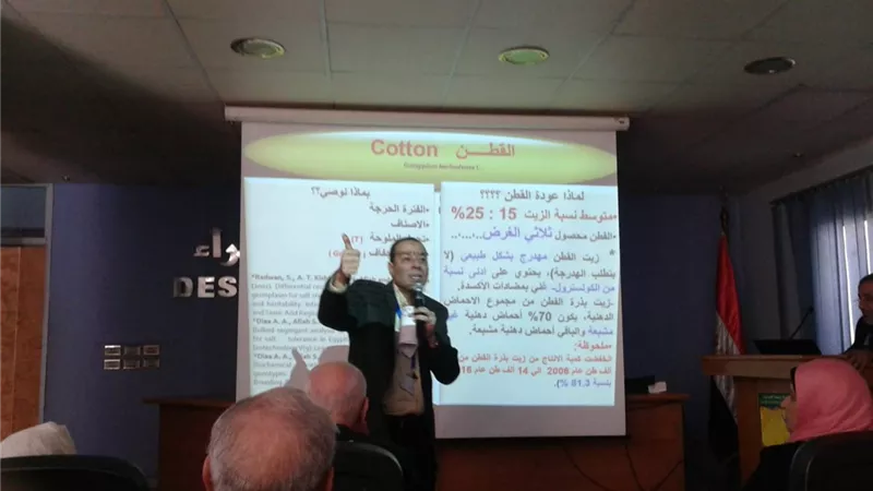 دراسة علمية تضع خطة تفصيلية لتحقيق مصر الاكتفاء الذاتى من الزيوت