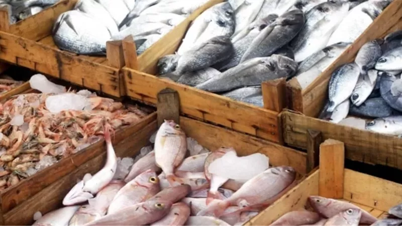 تعرف على أسعار الأسماك اليوم الخميس 16-5-2019