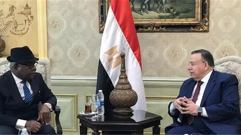 بالصور.. وكيل أول مجلس النواب يودع رئيس برلمان غانا والوفد المرافق بمطار القاهرة