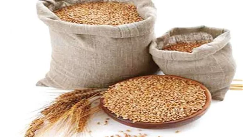 الإفتاء تحدد 3 شروط لوجوب أداء زكاة الفطر