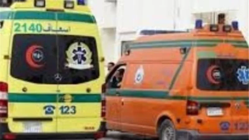 إصابة شقيقين بالتسمم تناولا مكرونة فاسدة بطهطا