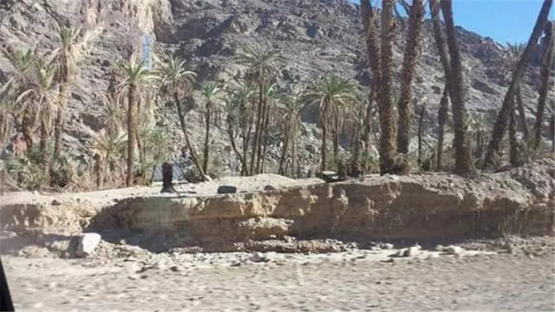 وادي فيران .. نبع الخير