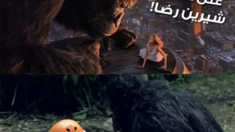 رامز جلال عبر تويتر .. شيرين رضا تقمصت دور بطلة King Kong