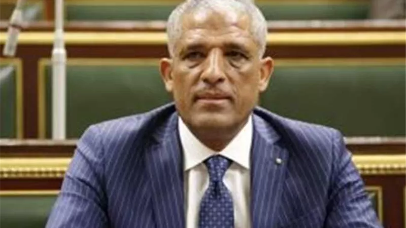 الحسينى يطالب بمراجعة الباب الثانى بالموازنة لمنع أى سرقة أو تلاعب