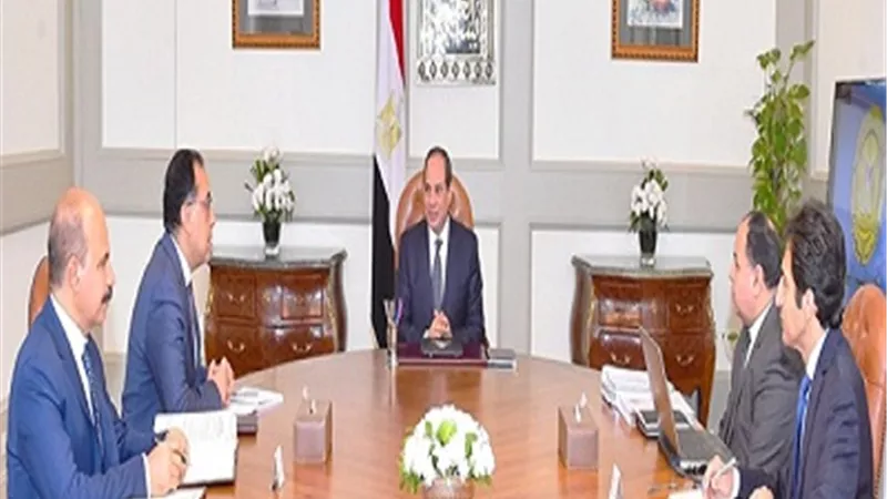 الرئيس يستعرض جهود الدولة للتحول الرقمى والتعاملات غير النقدية