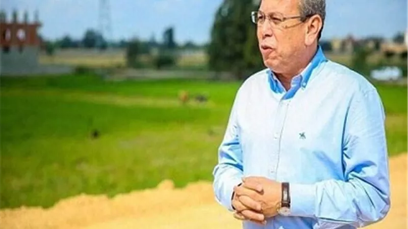 محافظ كفرالشيخ يكلف بالإنتهاء من أعمال إنشاء كوبرى عتريس بدسوق