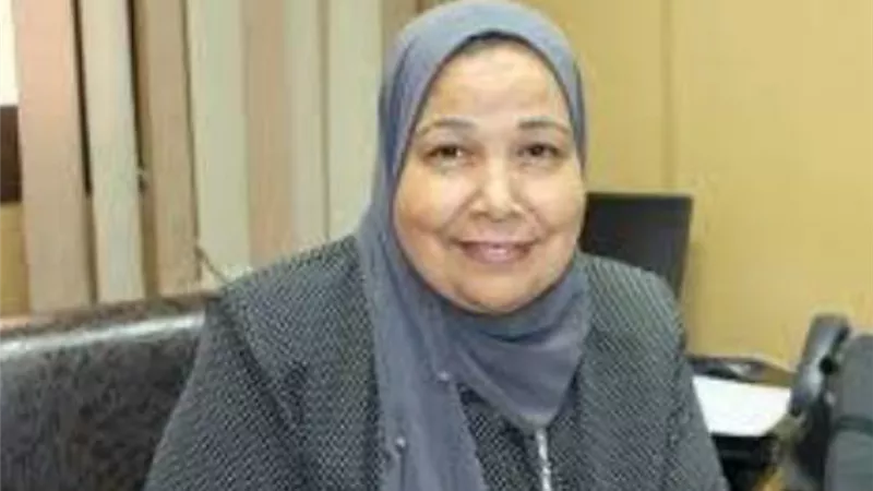 صحة الوادي الجديد: حصر الخزانات والبرك وأماكن تجمعات القمامة لمكافحة الحشرات