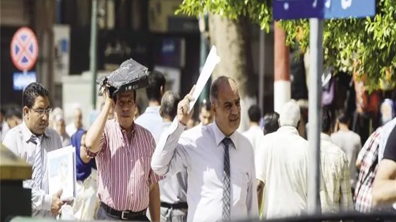 نصائح 