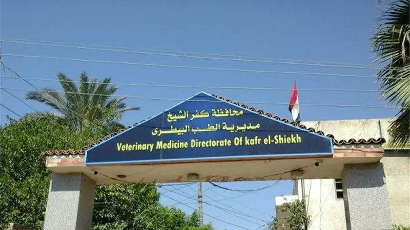 ضبط مكاتب غير مرخصة لبيع وتداول الأدوية البيطرية بمطوبس