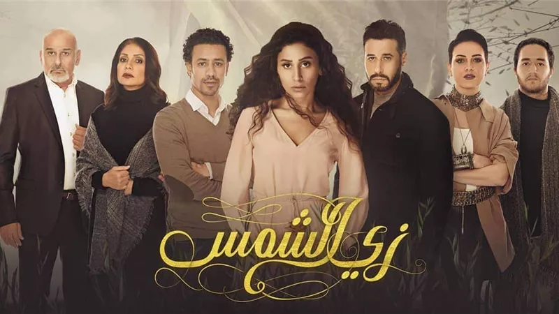 دينا الشربيني تصدّ عمر للمرة الثانية في زي الشمس