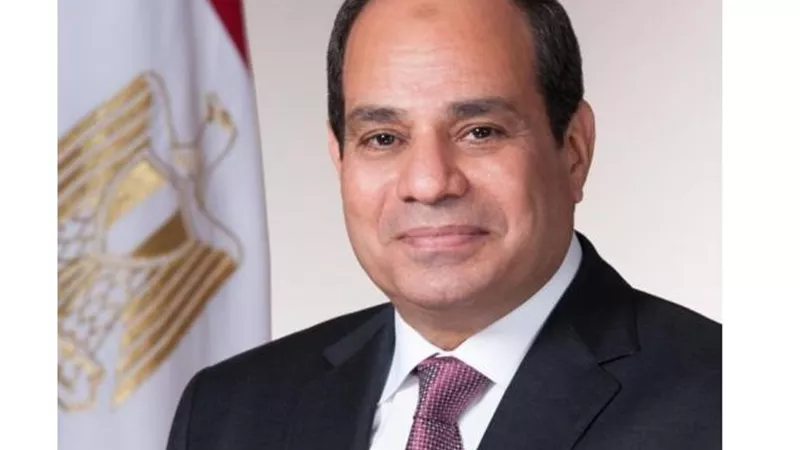السيسي في يوم إفريقيا: نتطلع لقارة مستقرة ومزدهرة