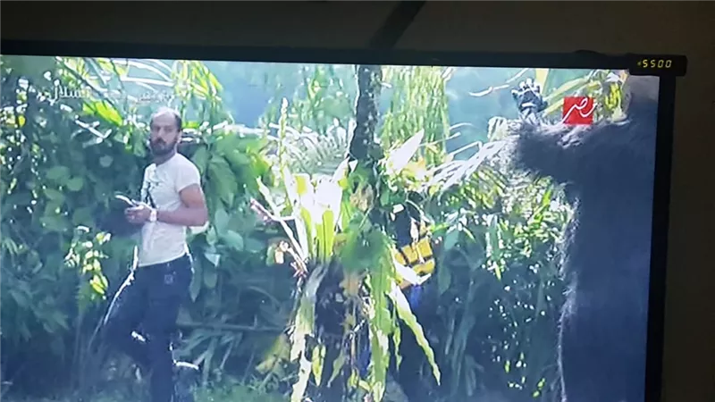 رامز يمازح وليد سليمان: 