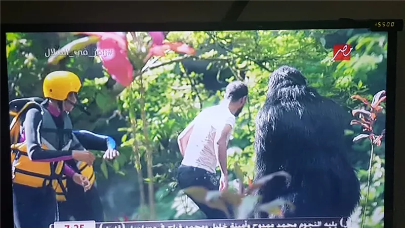 رامز جلال يحاول تهدئة وليد سليمان: 