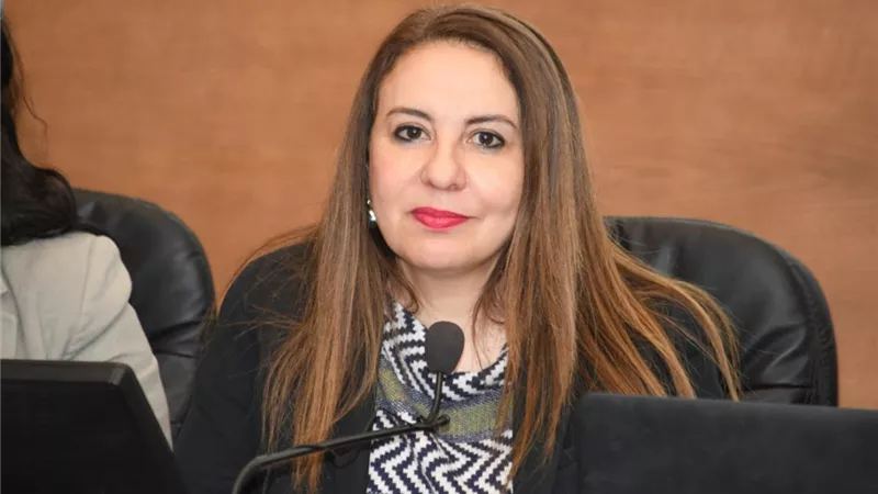 التخطيط: نستهدف إحداث نقلة نوعية في الثقافة التنظيمية للجهاز الإداري للدولة