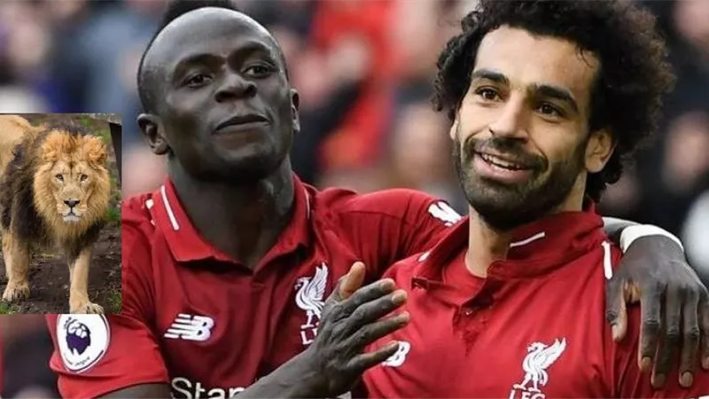 مانى يهدى محمد صلاح اسد فى هذه الحالة
