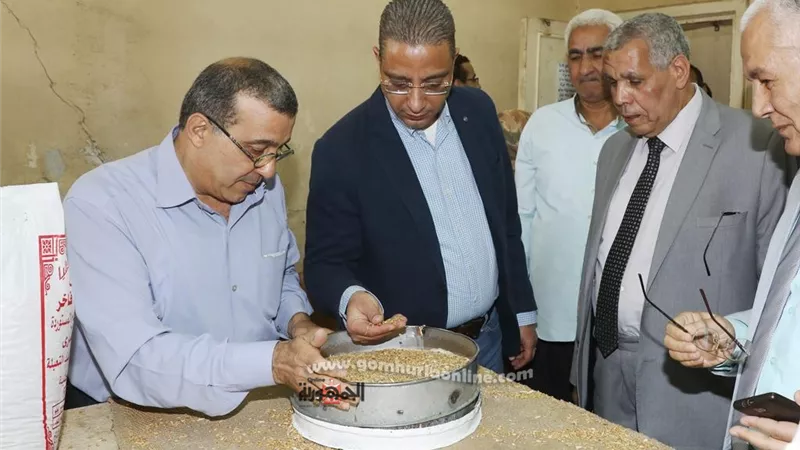 توريد 122 ألف و196 طن قمح لصوامع وشون سوهاج