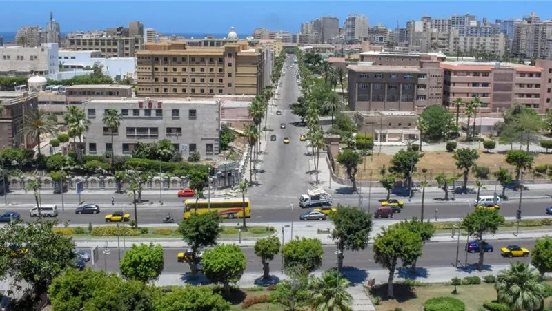 بدء تنفيذ شارع306ووضع تصور لعربات الطعام المتنقله