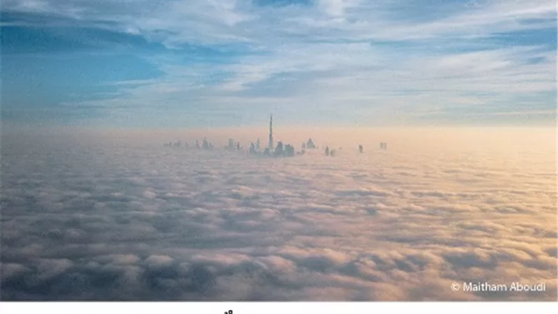 الذكاء الصناعيّ .. صديقٌ جديد للكاميرا