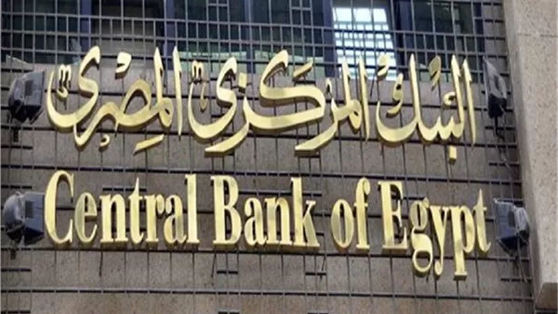 مؤسسة بريطانية تحصل على موافقة من المركزي المصري لتوفير رؤوس أموال للقطاع المصرفي
