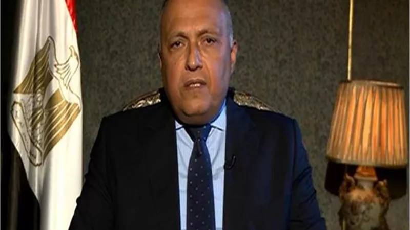 شكري يبحث مع نظيره الأمريكي العلاقات الثنائية ومستجدات الأوضاع في المنطقة