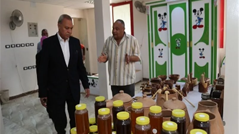 محافظ قنا يفتتح منفذ بيع المنتجات الغذائية لمشروع 