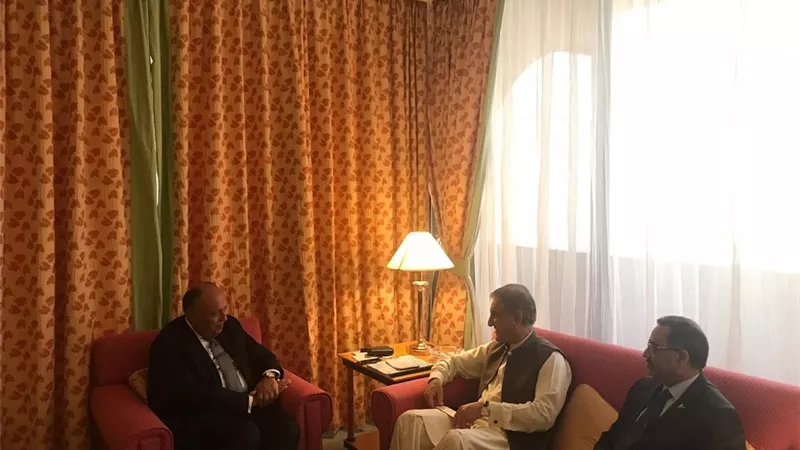 شكري يلتقي نظيره الباكستاني على هامش مشاركته في 
