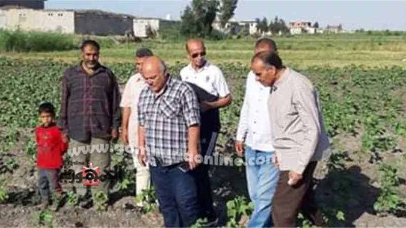 مدير زراعة الإسماعيلية يتفقد الحقول الإرشادية بالقنطرةشرق