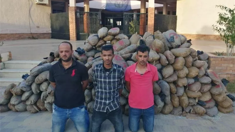 احباط تهريب طن وربع بانجو لزوم العيد بالاسماعيلية