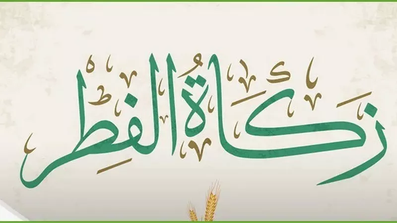 على من تجب زكاة الفطر ؟