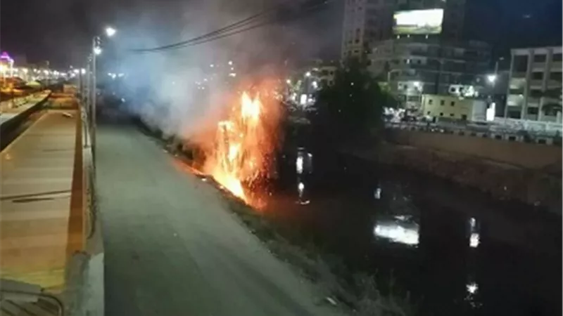 اندلاع حريق في أشجار نخيل بجوار محطة سكه حديد قنا