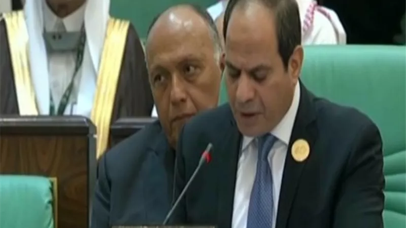 السيسي .. السودان والجزائر يديران مرحلة انتقالية في ظروف صعبة لصياغة مستقبلهما وعلينا دعمهما