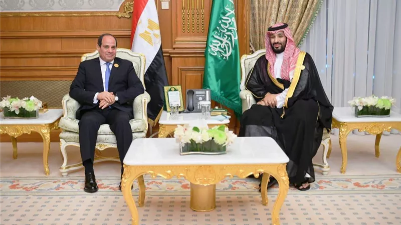 السيسي يبحث مع محمد بن سلمان الملفات المطروحة على الساحة الاقليمية دعما لوحدة الصف العربي
