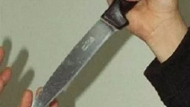 طالبة تذبح شقيقتها الصغرى وتشرع فى قتل الثانية بالشرقية