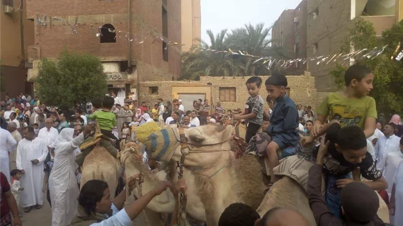 أطفال الوادي الجديد يحتفلون بعيد الفطر بركوب الجمال والخيل .. صـــــــــــور