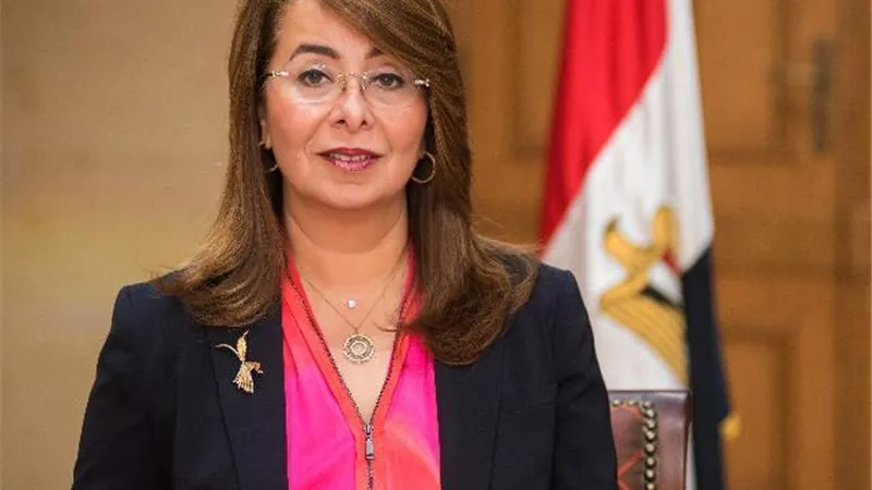 والى : ٢١٧ مليون جنيه قيمة القروض الدوارة من 