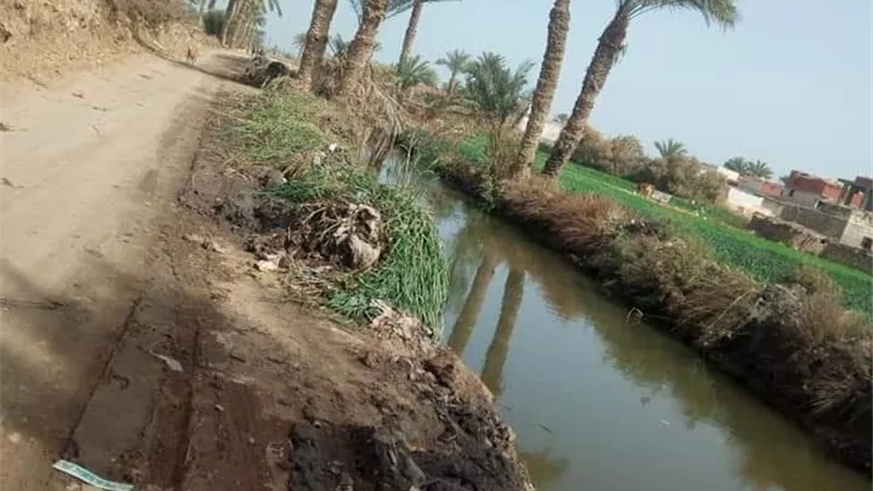 المتنزهات و الحدائق العامة بالفيوم .. تكسب