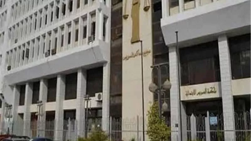 ربة منزل تقتل طفليها وتحاول الانتحار بالسويس