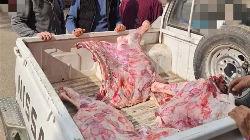 ضبط 120 كيلو لحوم غير صالحة للاستهلاك الآدمي بالباجور