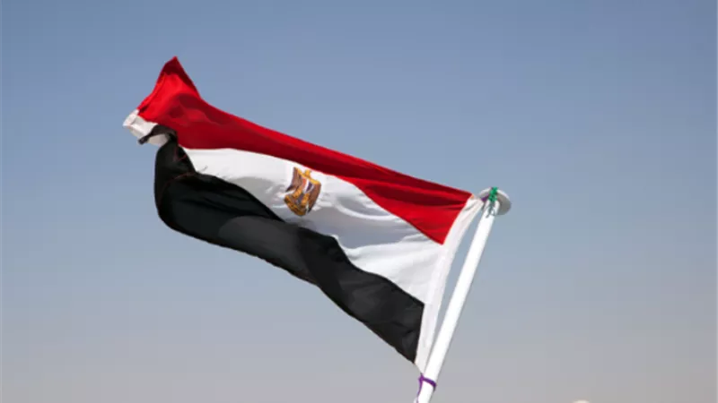جوجل: سعر الدولار ومؤتمر المناخ يتصدران قوائم الأكثر بحثاً في مصر 2022