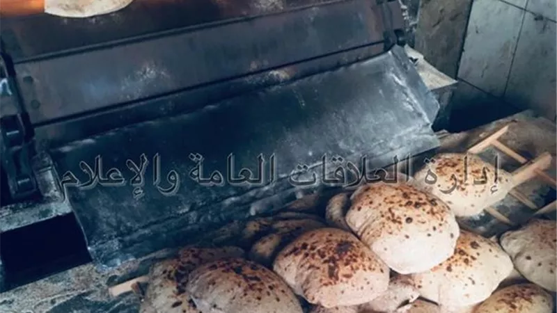 تحرير 115 محضرا تموينيا متنوعا بالإسماعيلية