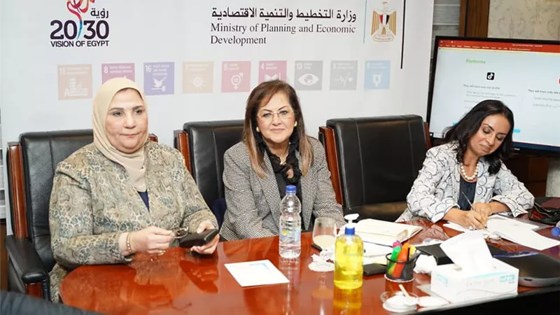لجنة تنمية الأسرة المصرية تتابع الموقف التنفيذي لخطط المشروع